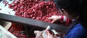 国产色佬,探寻中国色彩文化的独特魅力