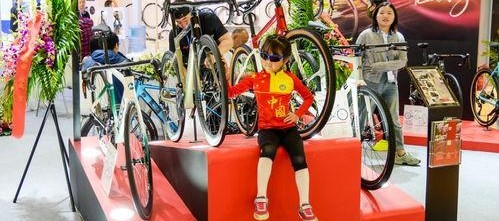 乱轮国产,神秘古国的奇幻之旅